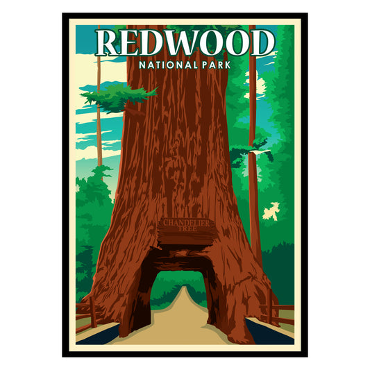 Redwood National Park US Poster