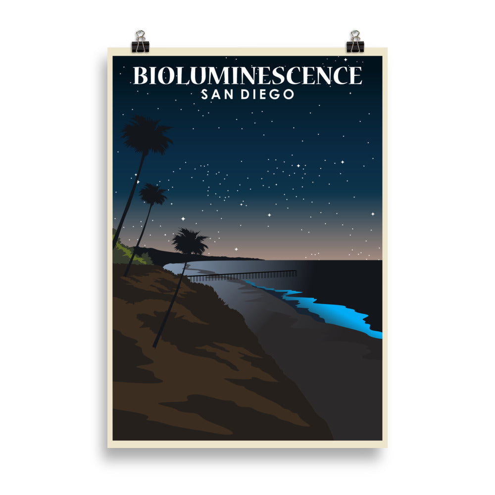 Neon Blue Waves: Bioluminescence in San Diego