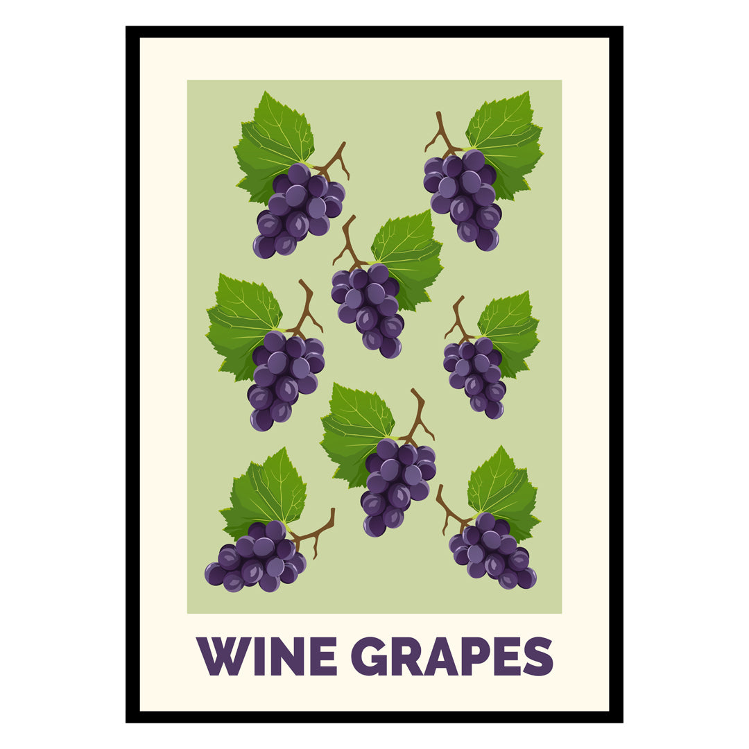 Wine Grapes Poster